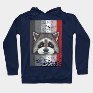 Rabies Pride Flag With Raccoon Hoodie